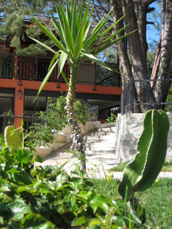 Residenza Mediterranea ザンブローネ エクステリア 写真